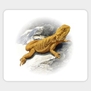 Pogona Sticker